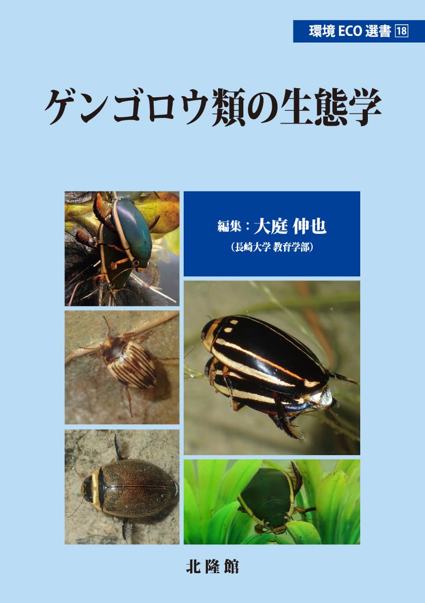 研究者向き　ウクライナゲンゴロウセット　ゲンゴロウ以外も含む 研究者向き ウクライナゲンゴロウセット ゲンゴロウ以外も含む